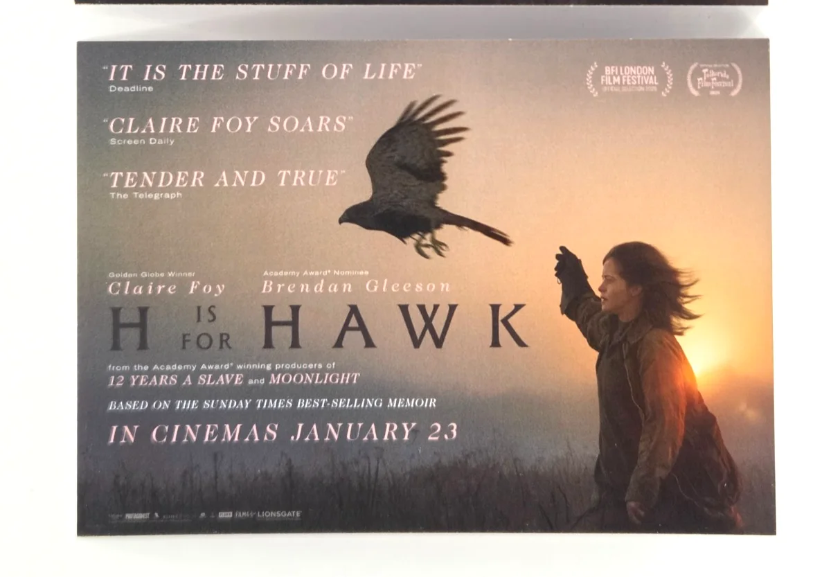 H IS FOR HAWK mini cinema standee card + 3 postcards (Claire Foy, 2025 movie), изображение 5