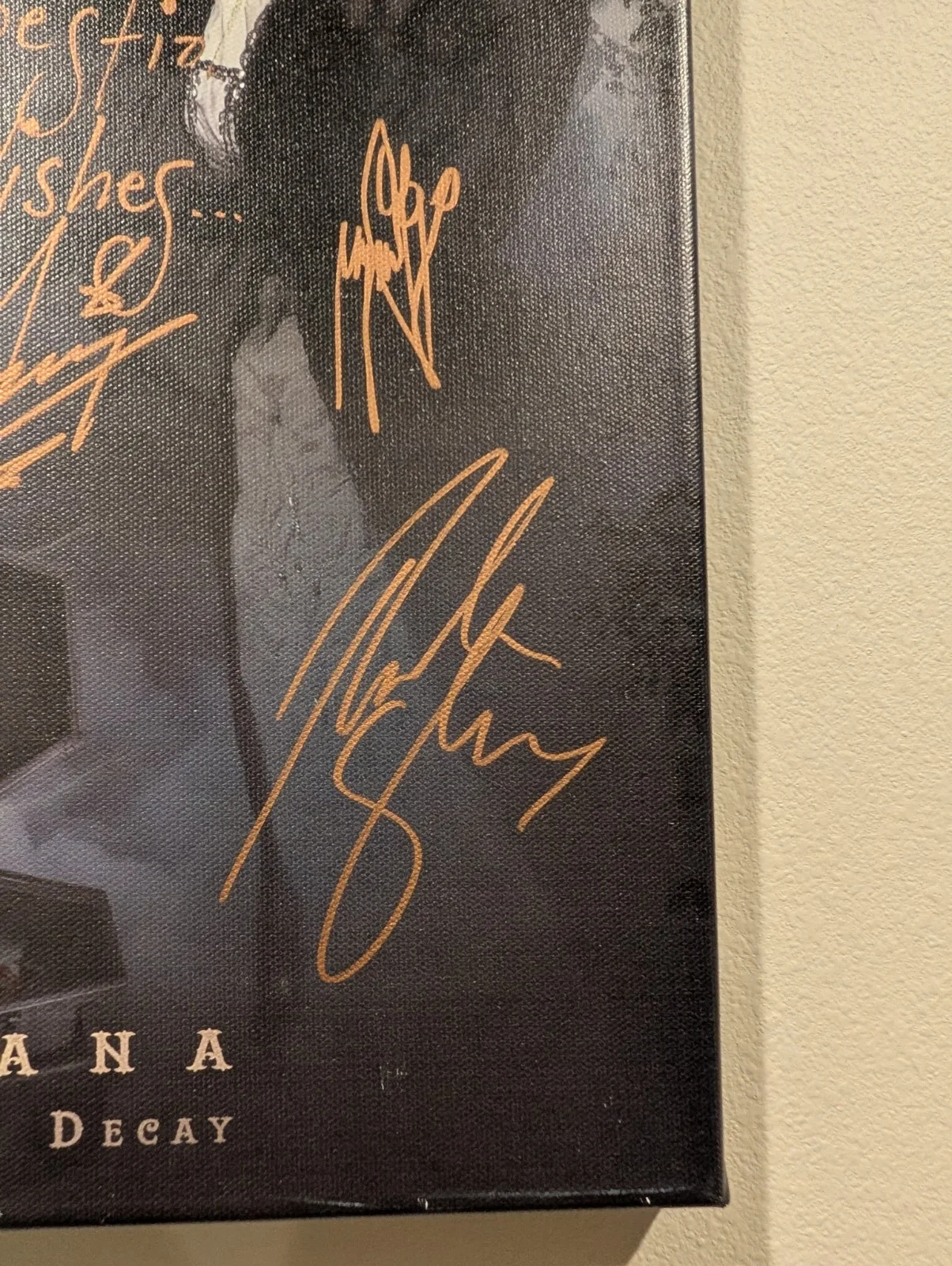 CRADLE OF FILTH CRYPTORIANA THE SEDUCTIVENESS OF DECAY AUTOGRAPHED CANVAS, изображение 5