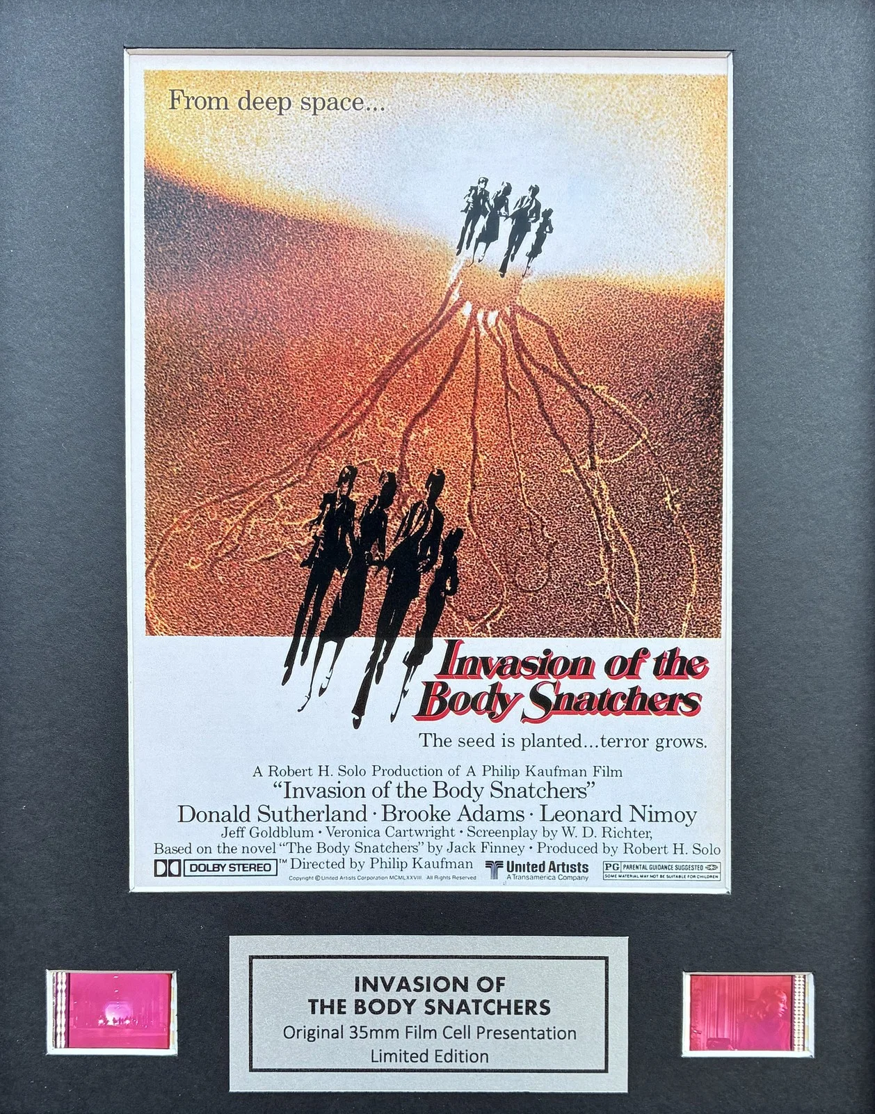 Invasion of the Body Snatchers 1978 Original 35mm Film Cells in Quality Wood, изображение 2
