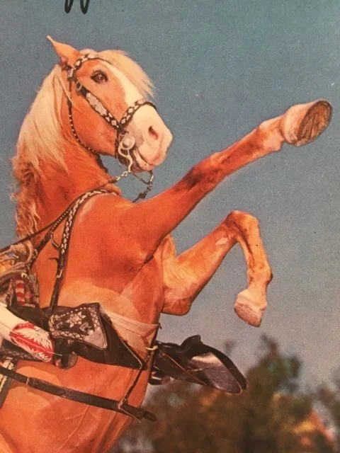 Vintage Roy Rogers & Trigger Cowboy Print Signed, image 4