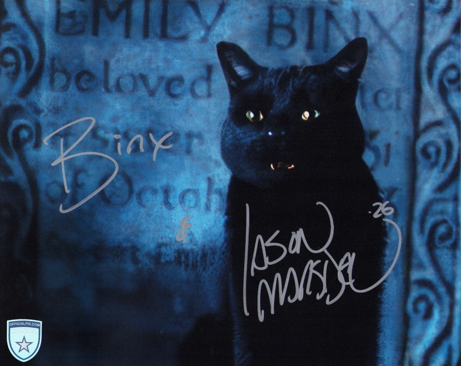 Jason Marsden — Signed Jason Marsden Hocus Pocus Thackery Binx Cat 8x10 w/ Official Pix COA