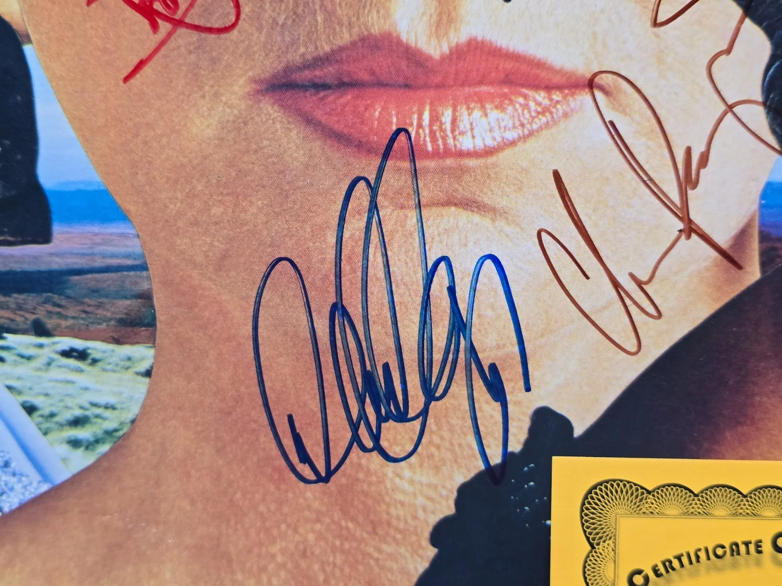 STYX Signed PIECES 8 Vinyl RECORD x4 COA DENNIS DeYOUNG Tommy Shaw JY Chuck, изображение 4