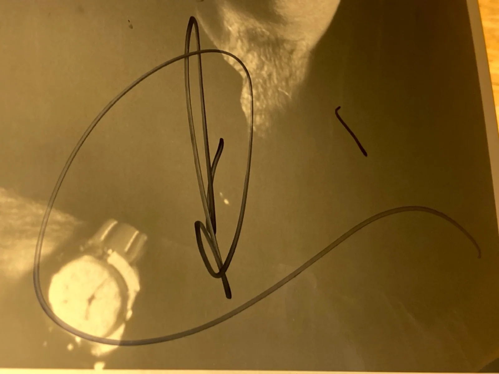 Hand SIGNED Andy Garcia 8x10 Photo - The Godfather 3, Untouchables, Jennifer 8, изображение 4