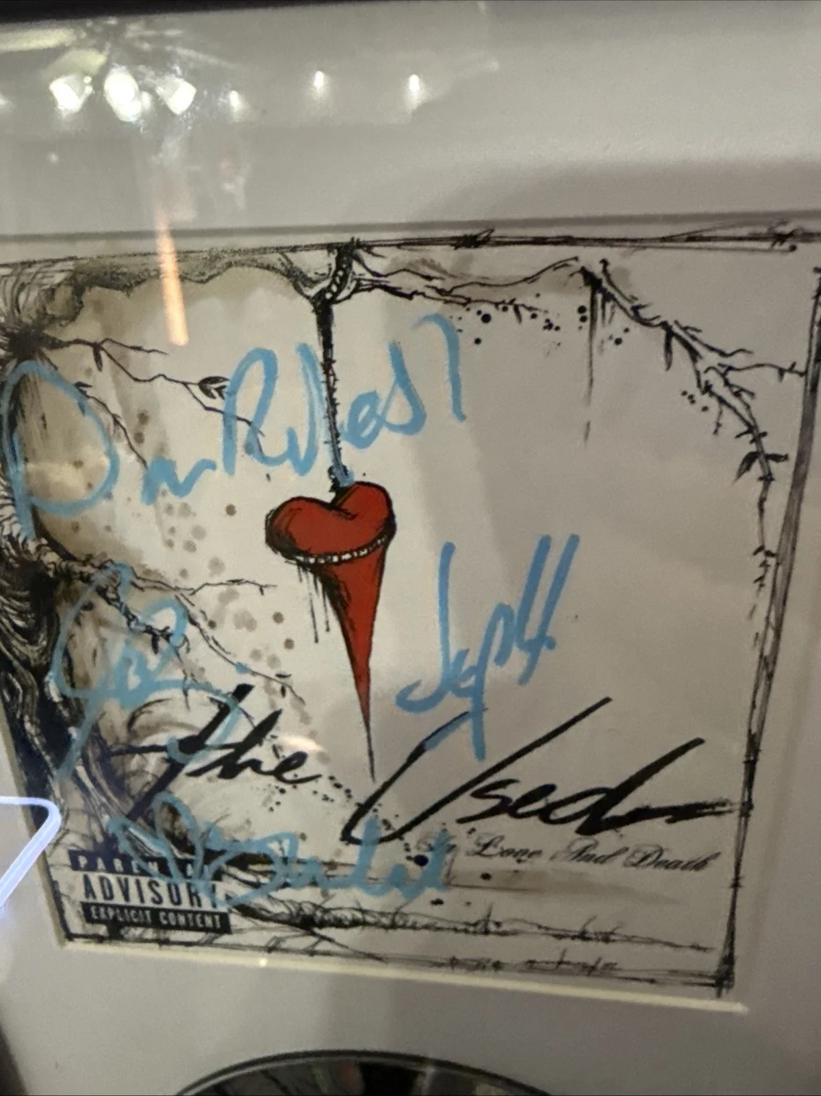 THE USED SIGNED IN LOVE & DEATH CD JSA COA DISPLAY FRAMED Bert McCracken +3, изображение 3