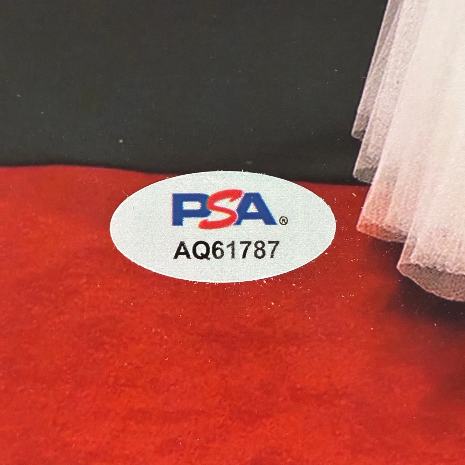Renate Reinsve — RENATE REINSVE SIGNED 8x10 PHOTO PSA DNA AUTOGRAPH RED CARPET SEE THRU, image 2