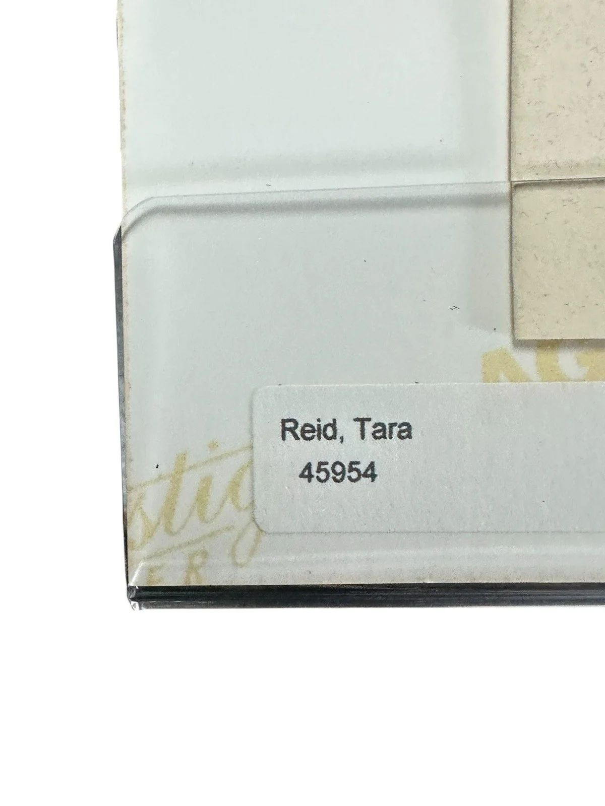 Tara Reid — Tara Reid Signed 8x10 Photo w/ COA JG Autographs Authentic UACC Dealer #147, изображение 4
