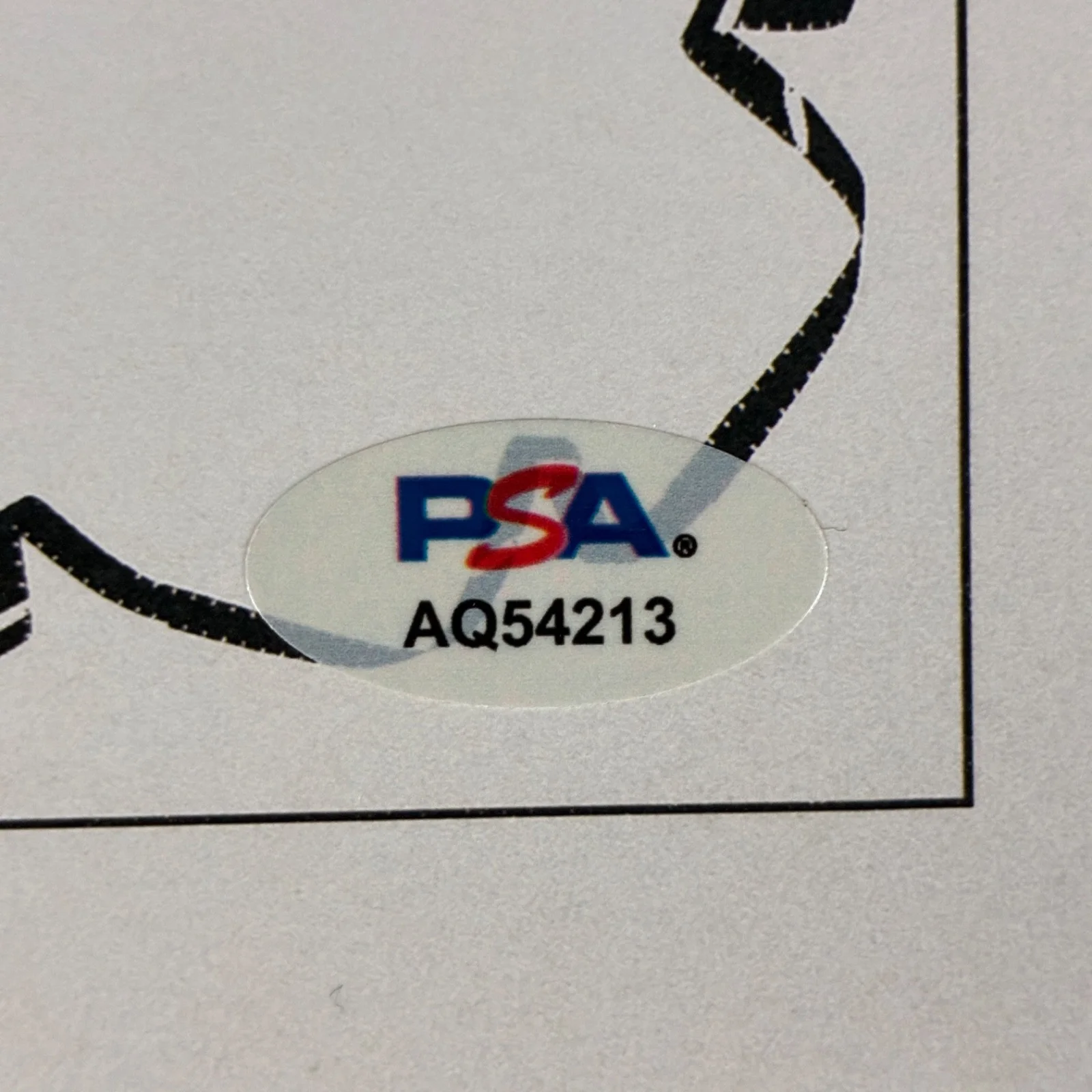 Seth Rogen — SETH ROGEN SIGNED 8x10 PHOTO PSA DNA AUTOGRAPH THE STUDIO AQ54213, image 2