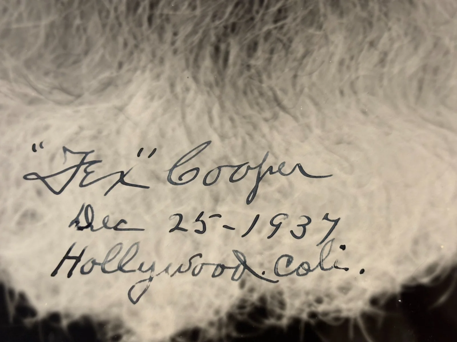 Tex Cooper Extremely Rare Very Early Autographed Oversize 9/13 Photo '37 VA City, image 5