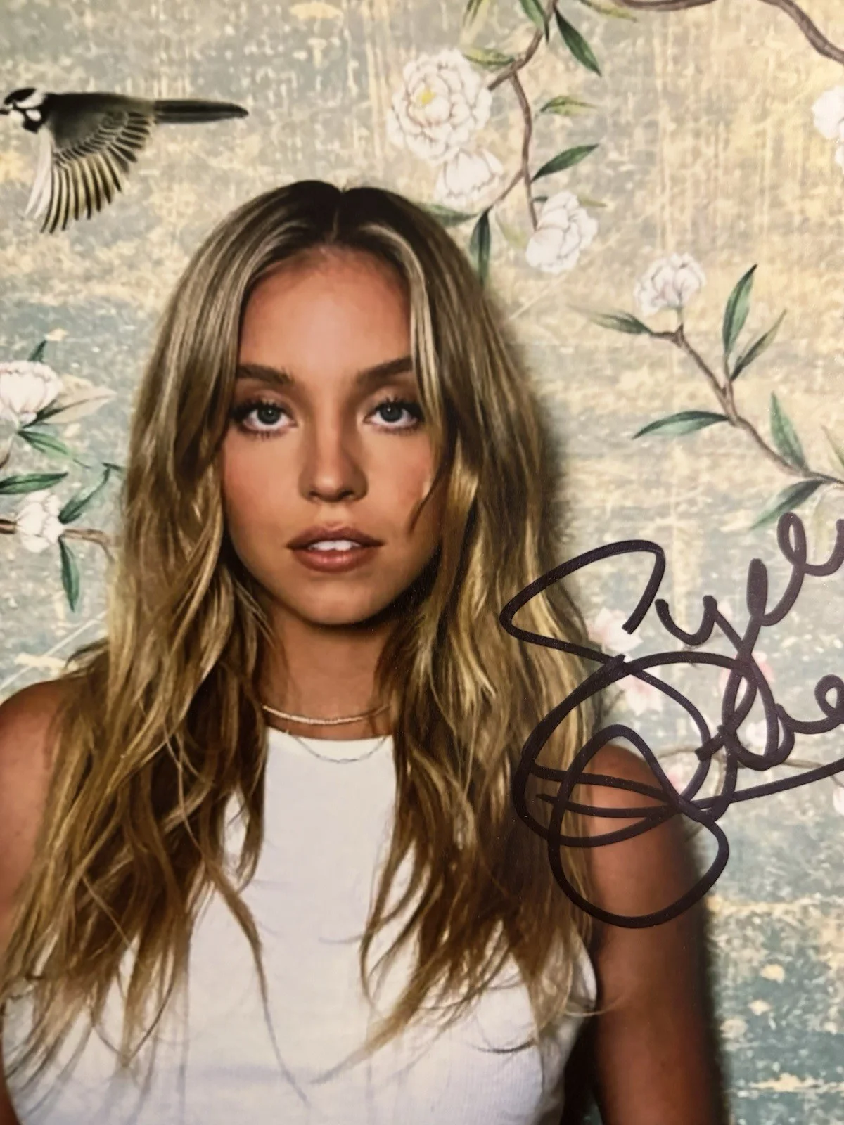 Sydney Sweeney / Housemaid Americana Sexy Tank Signed Autograph 8x10 Photo COA, изображение 2