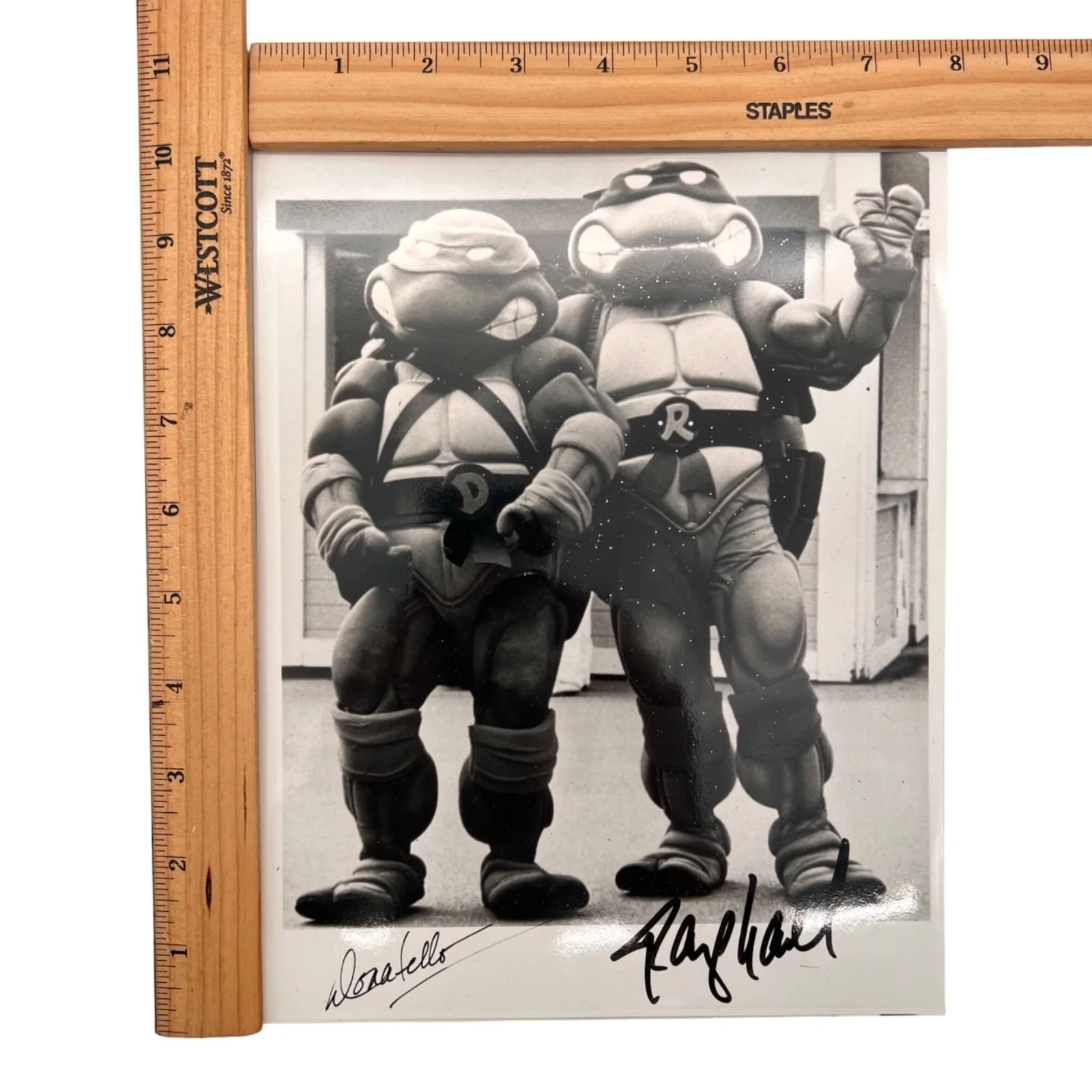 Raphael, Donatello — Teenage Mutant Ninja Turtles Donatello & Raphael Autographed Black & White Photo, изображение 2