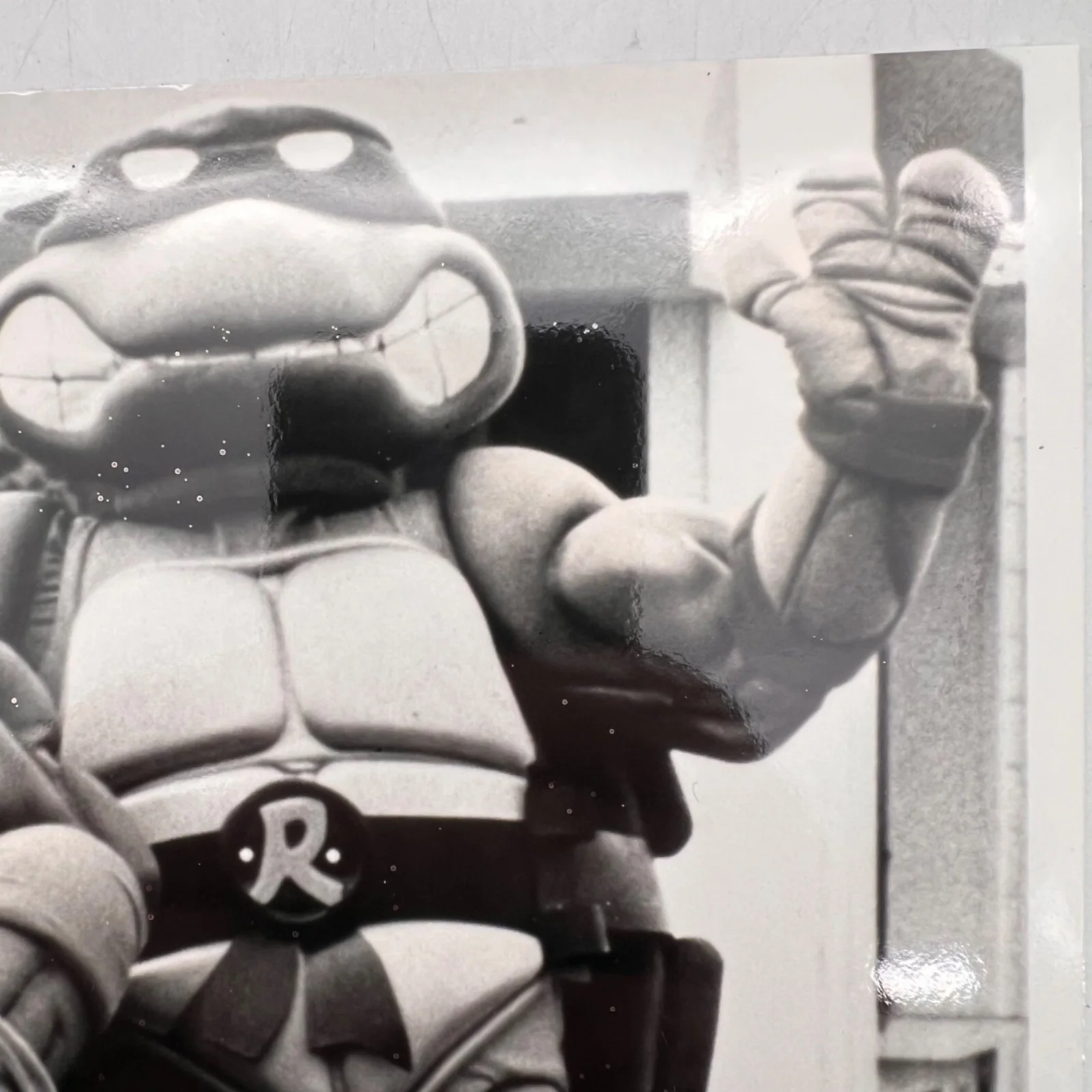 Raphael, Donatello — Teenage Mutant Ninja Turtles Donatello & Raphael Autographed Black & White Photo, изображение 4