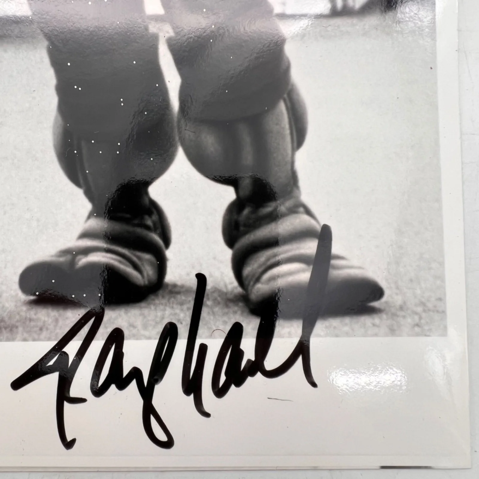 Raphael, Donatello — Teenage Mutant Ninja Turtles Donatello & Raphael Autographed Black & White Photo, изображение 5