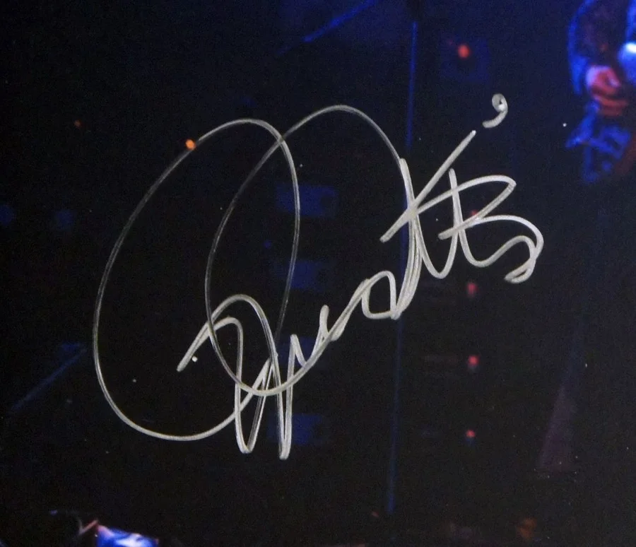 **PSA/DNA** ROGER DALTREY SIGNED 8x10 The Who Color Concert Photo!, image 4