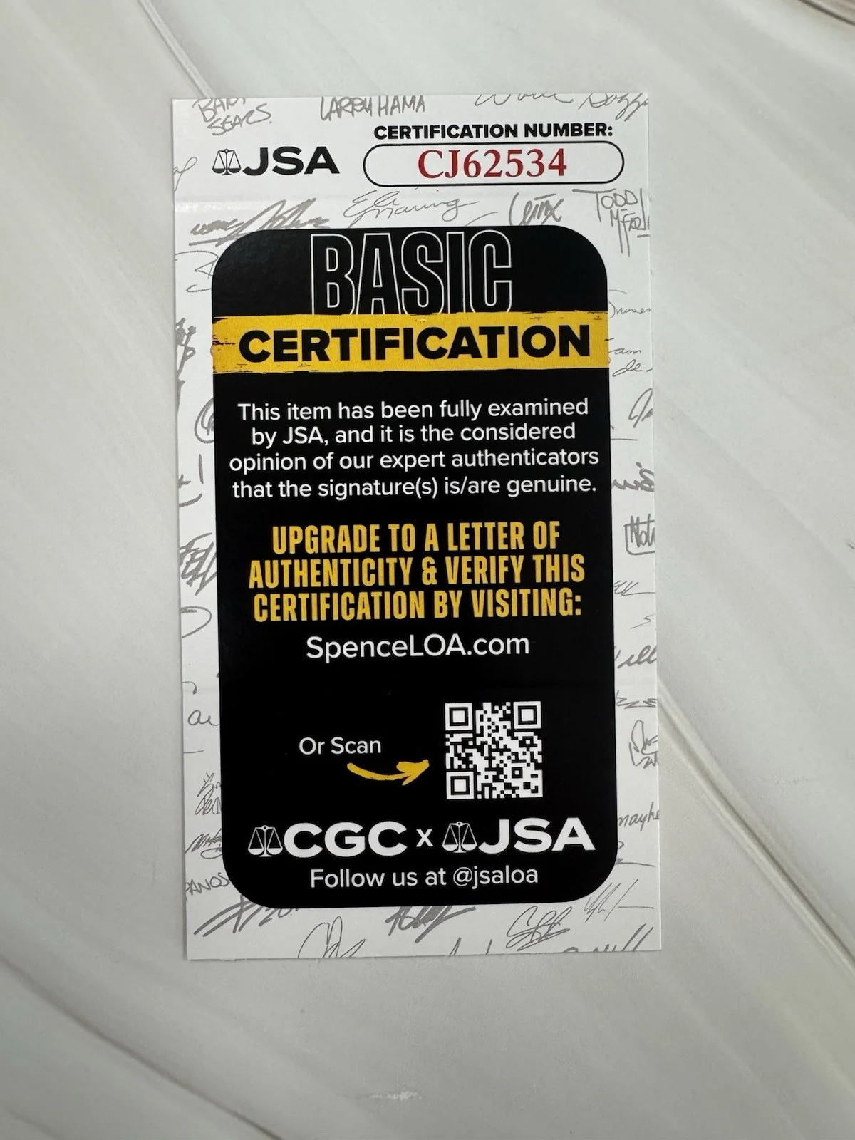 Sully Signed Cut Jsa Auto Custom Framed Pilot On Hudson, image 3