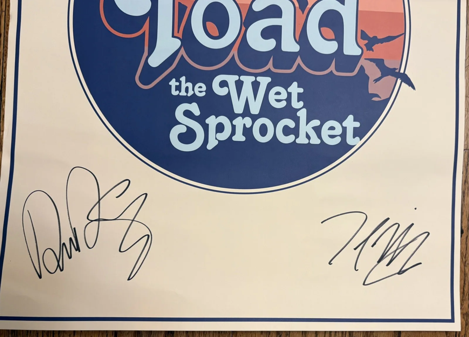 Toad The Wet Sprocket Poster AUTOGRAPHED Todd Nichols Glen Phillips Dean Dinning, image 4