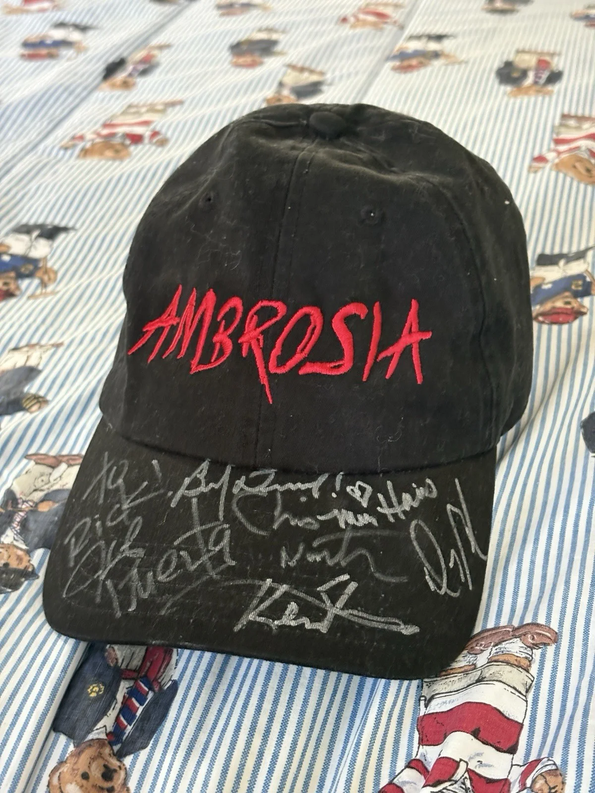 Ambrosia Band Tour Concert Hat Signed by members! 100% Cotton One Size Fits, image 2