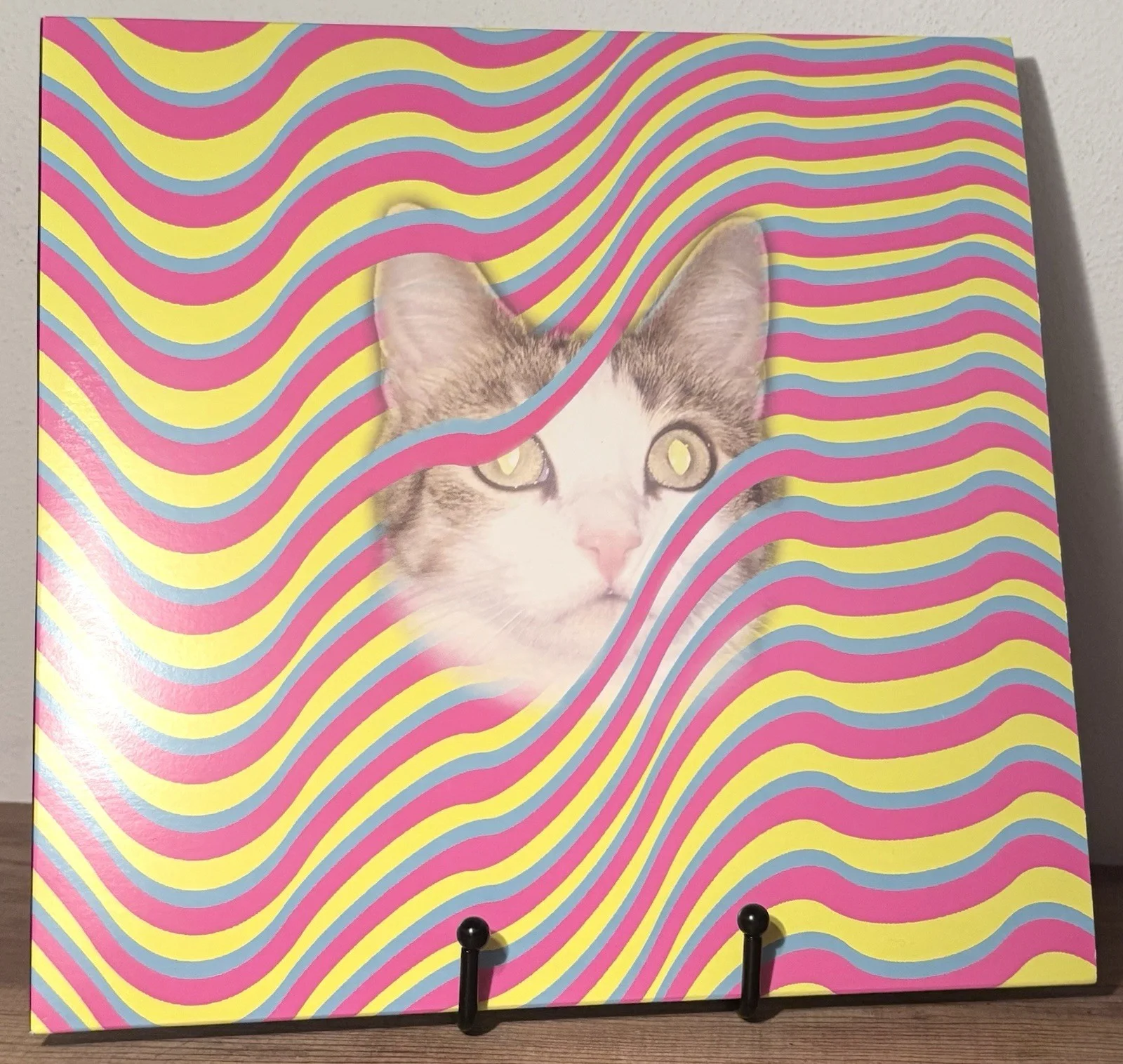 THUNDERCAT SIGNED Drunk Vinyl Box Set JSA COA, изображение 5