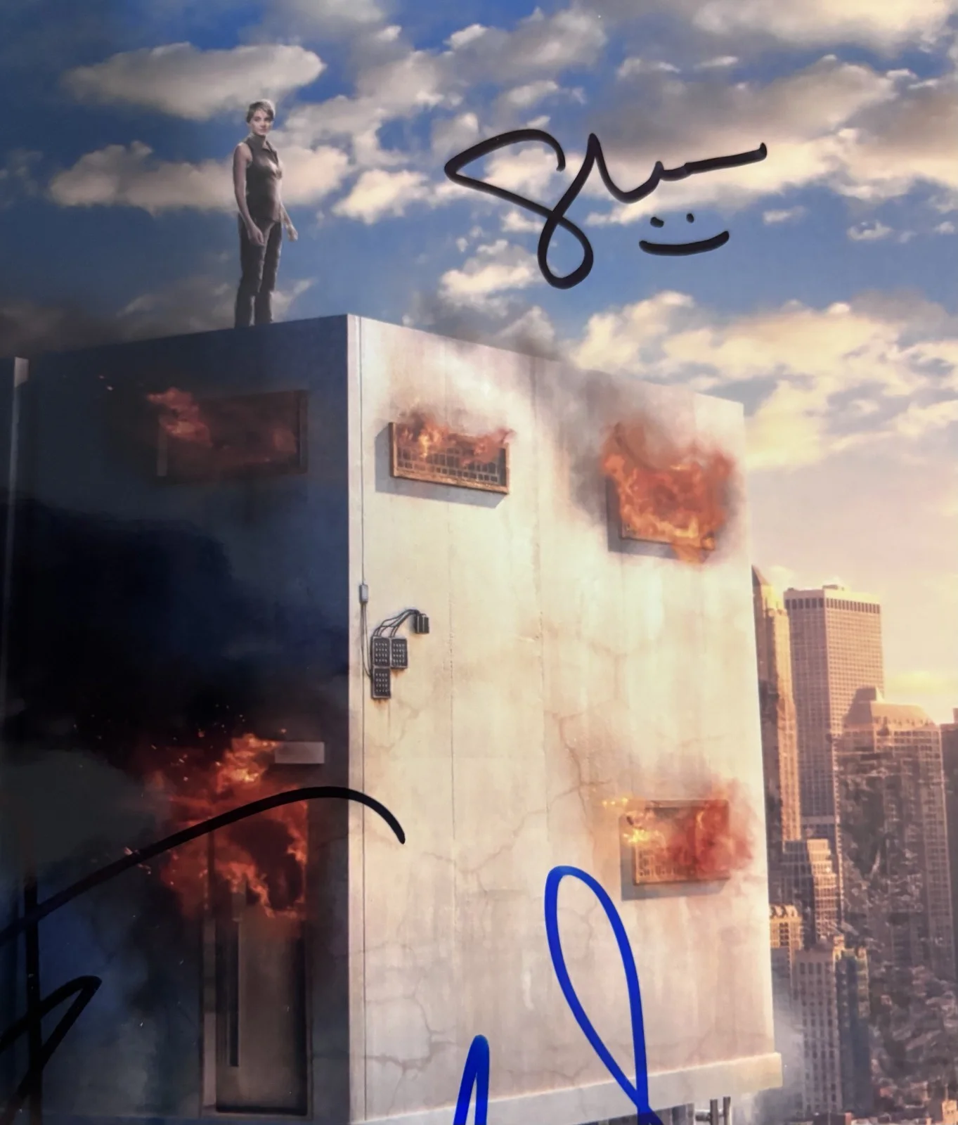 Shailene Woodley, Theo James, Ansel Elgort — "Insurgent" In-person Cast signed by Theo James, Shailene Woodley & Ansel Elgort, изображение 3