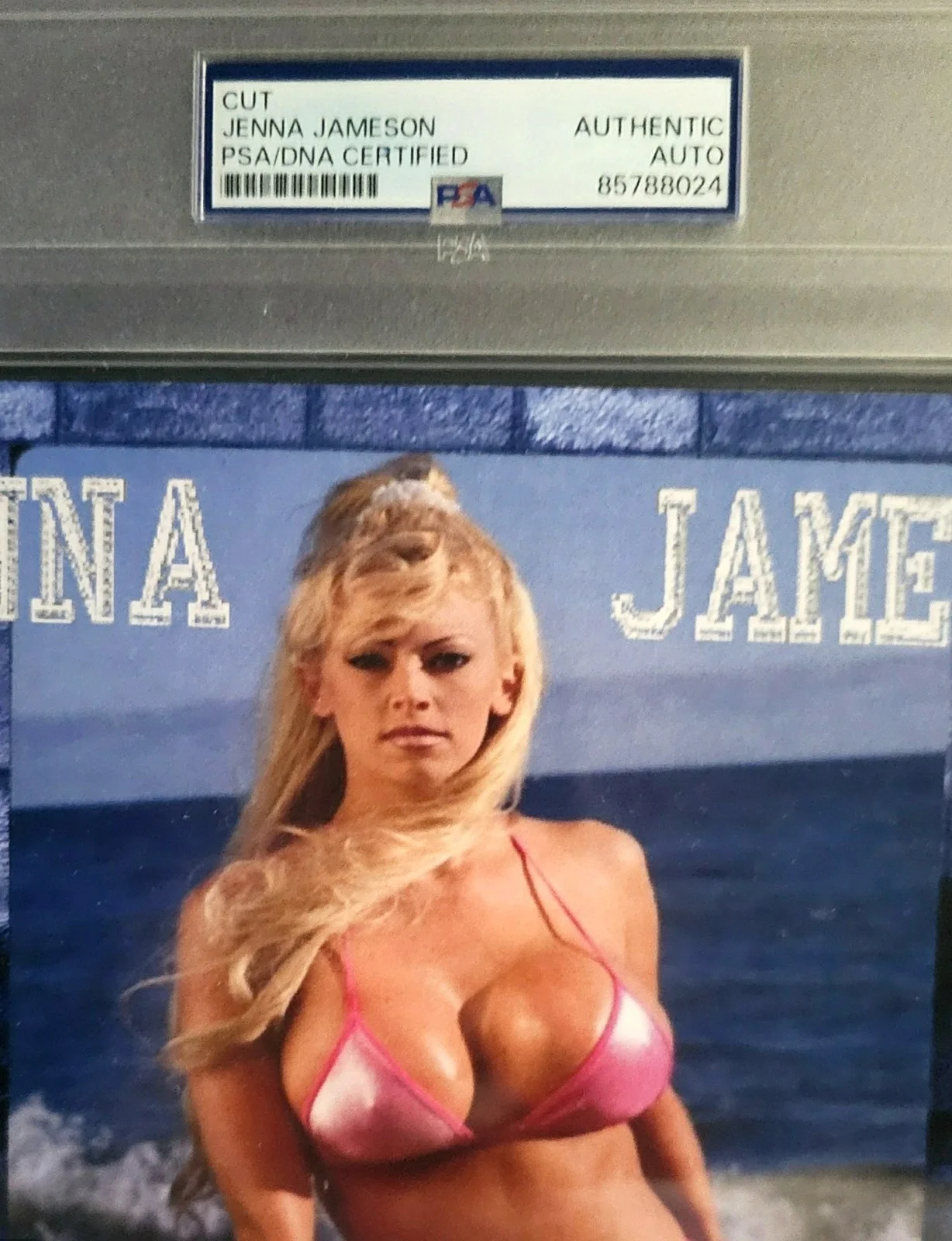 Jenna Jameson — JENNA JAMESON Signed Custom Cut 8x10 Card Auto PSA/DNA - SMOKING HOT, RARE 1/1!, изображение 3