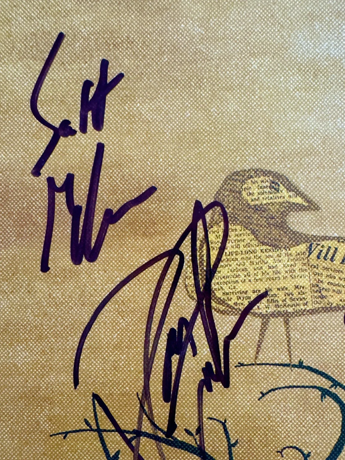 The Spill Canvas Poster Signed All 4x Band Members, Thomas Ludeman McGuire Beck, изображение 2
