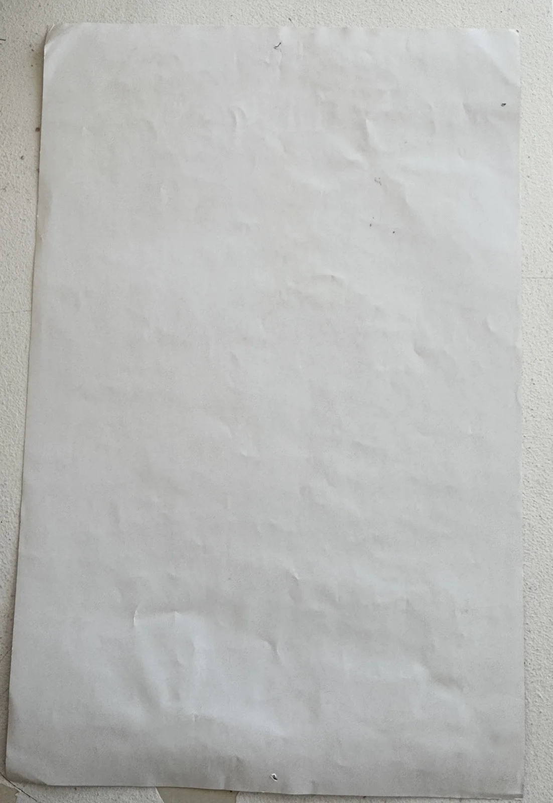 The Spill Canvas Poster Signed All 4x Band Members, Thomas Ludeman McGuire Beck, изображение 4