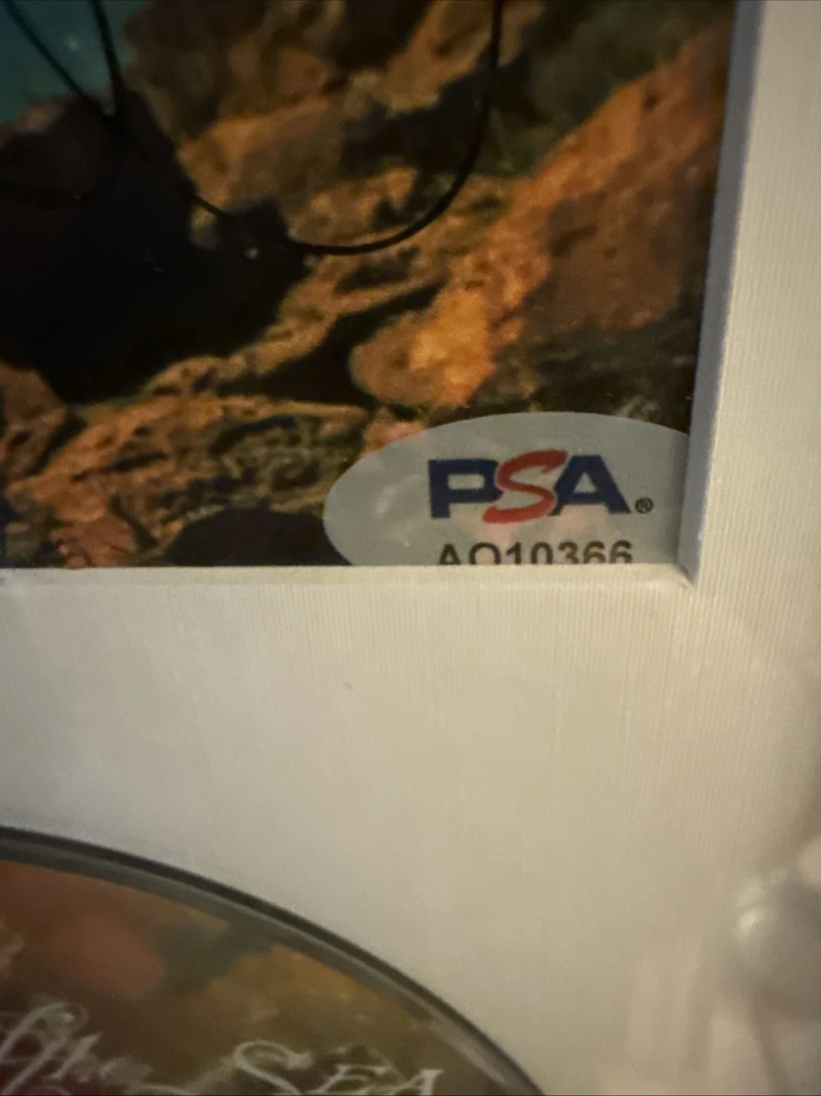 Incubus Brandon Boyed Signed Sons Of The Sea Album cover PSA Rock Memorabilia, изображение 2