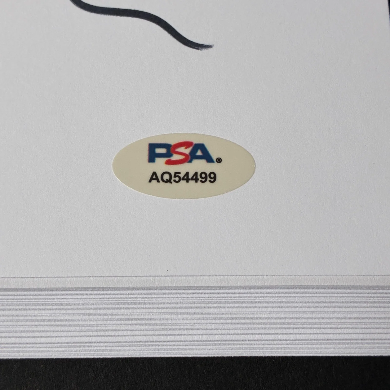 Sam Raimi — SAM RAIMI SIGNED THE EVIL DEAD MOVIE SCRIPT FULL 66 PAGE AUTOGRAPH PSA DNA, image 2