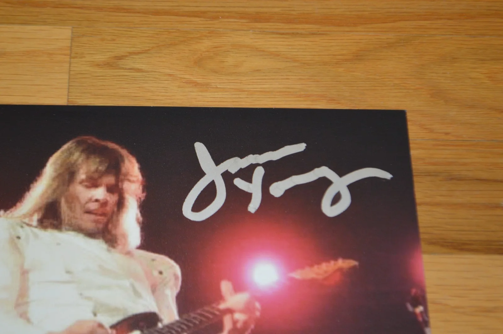 STYX ~ James Young Autographed Color 8x10 Photo with AUTOGRAPH COA, image 3