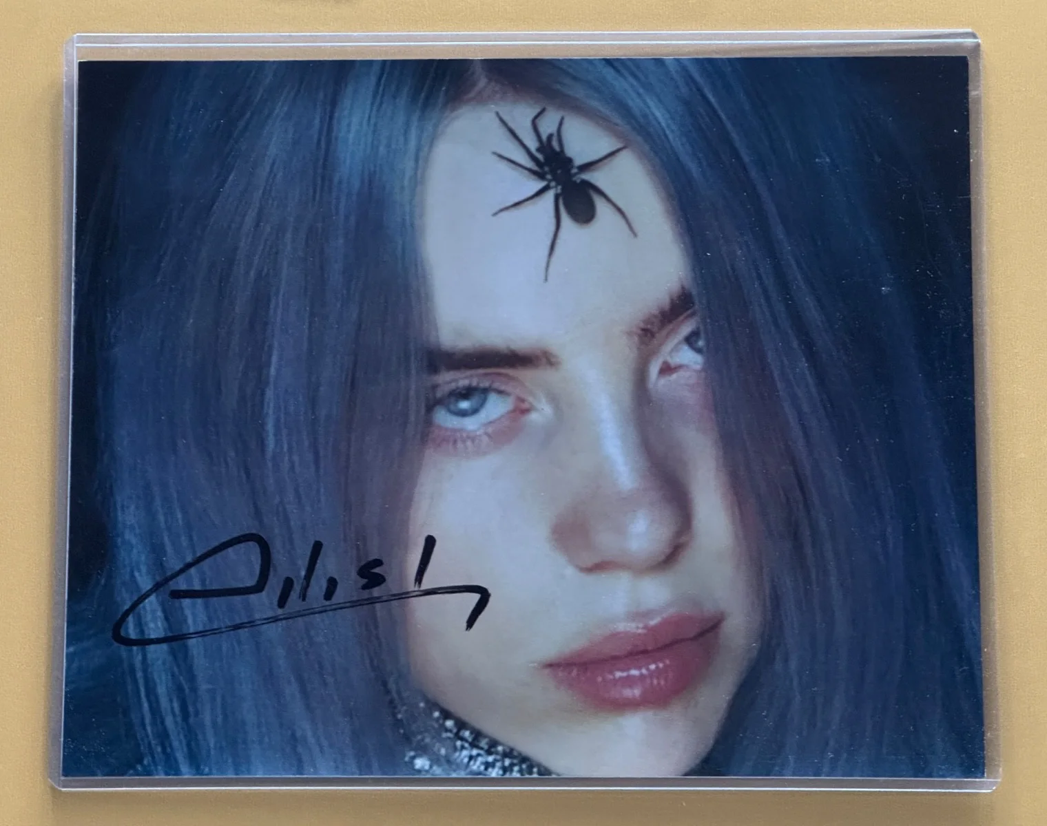 BILLIE EILISH — SIGNED BILLIE EILISH Spider Photo with COA - Slipcover - Ships FREE