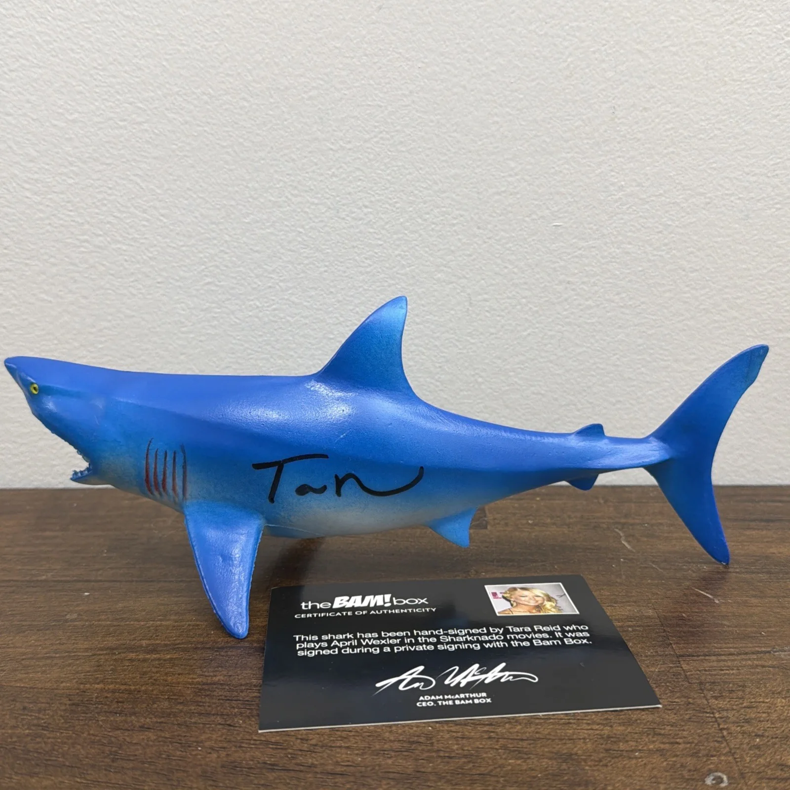 Tara Reid — Bam Box Sharknado 10" Shark Figure Signed By Tara Reid with COA Autograph