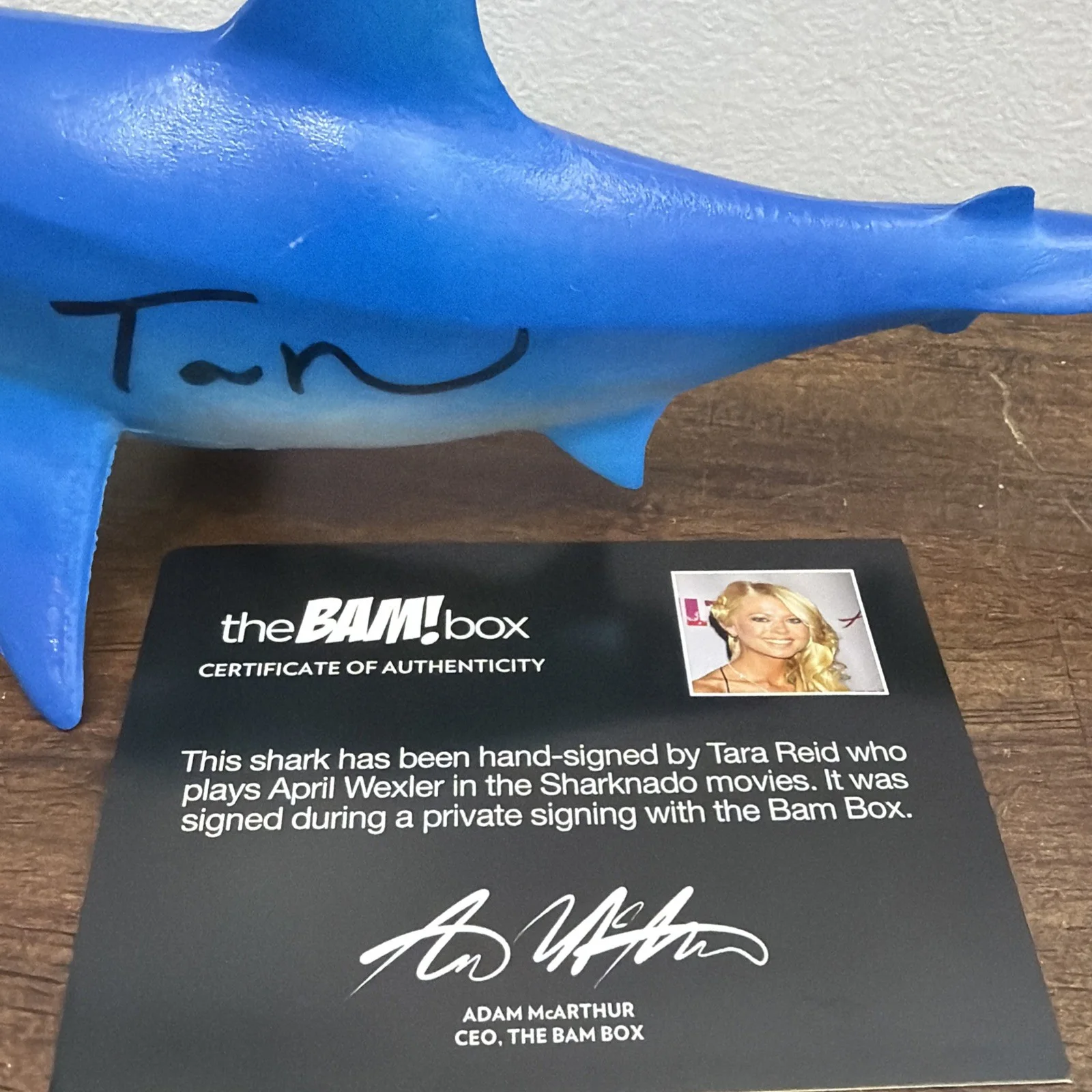 Tara Reid — Bam Box Sharknado 10" Shark Figure Signed By Tara Reid with COA Autograph, изображение 2