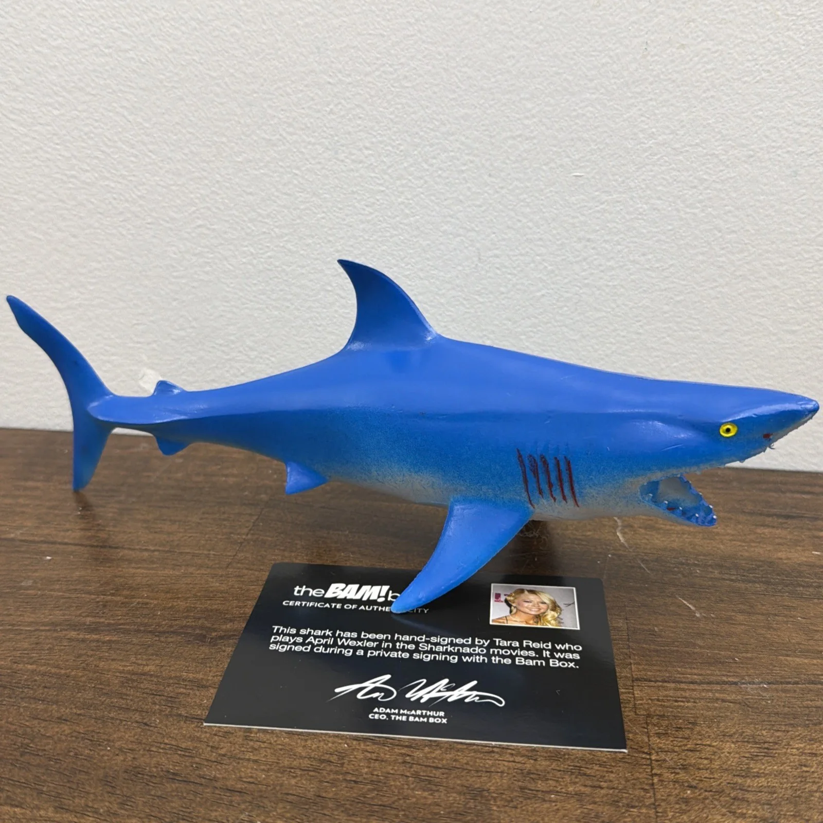 Tara Reid — Bam Box Sharknado 10" Shark Figure Signed By Tara Reid with COA Autograph, изображение 3