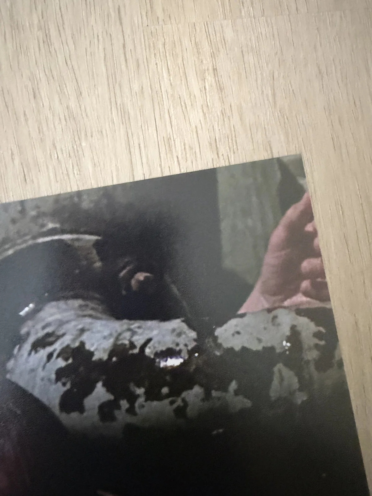 Friday The 13th TIM MIRKOVICH Jason Voorhees signed 8x10 JSA Authenticated, image 4