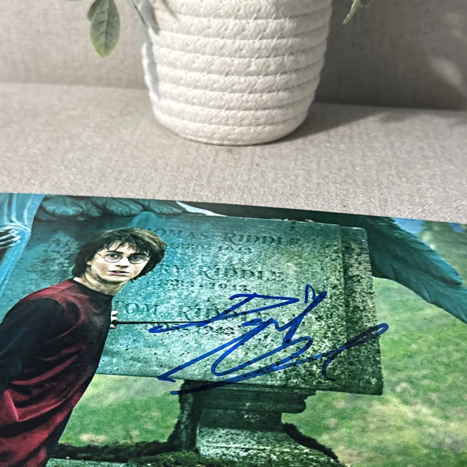 DANIEL RADCLIFFE — DANIEL RADCLIFFE SIGNED AUTOGRAPH "HARRY POTTER" 8x10 RARE PHOTO w/COA Proof !!, image 4