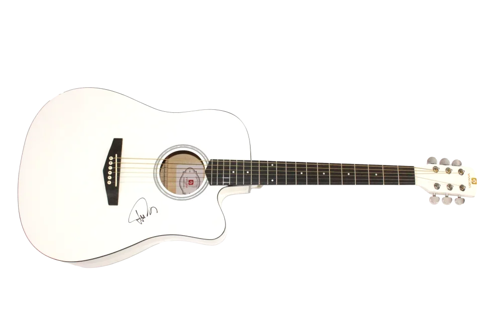 Trey Anastasio — Trey Anastasio Phish Signed Autograph Acoustic Guitar Rift Hoist w/ Beckett COA, изображение 2
