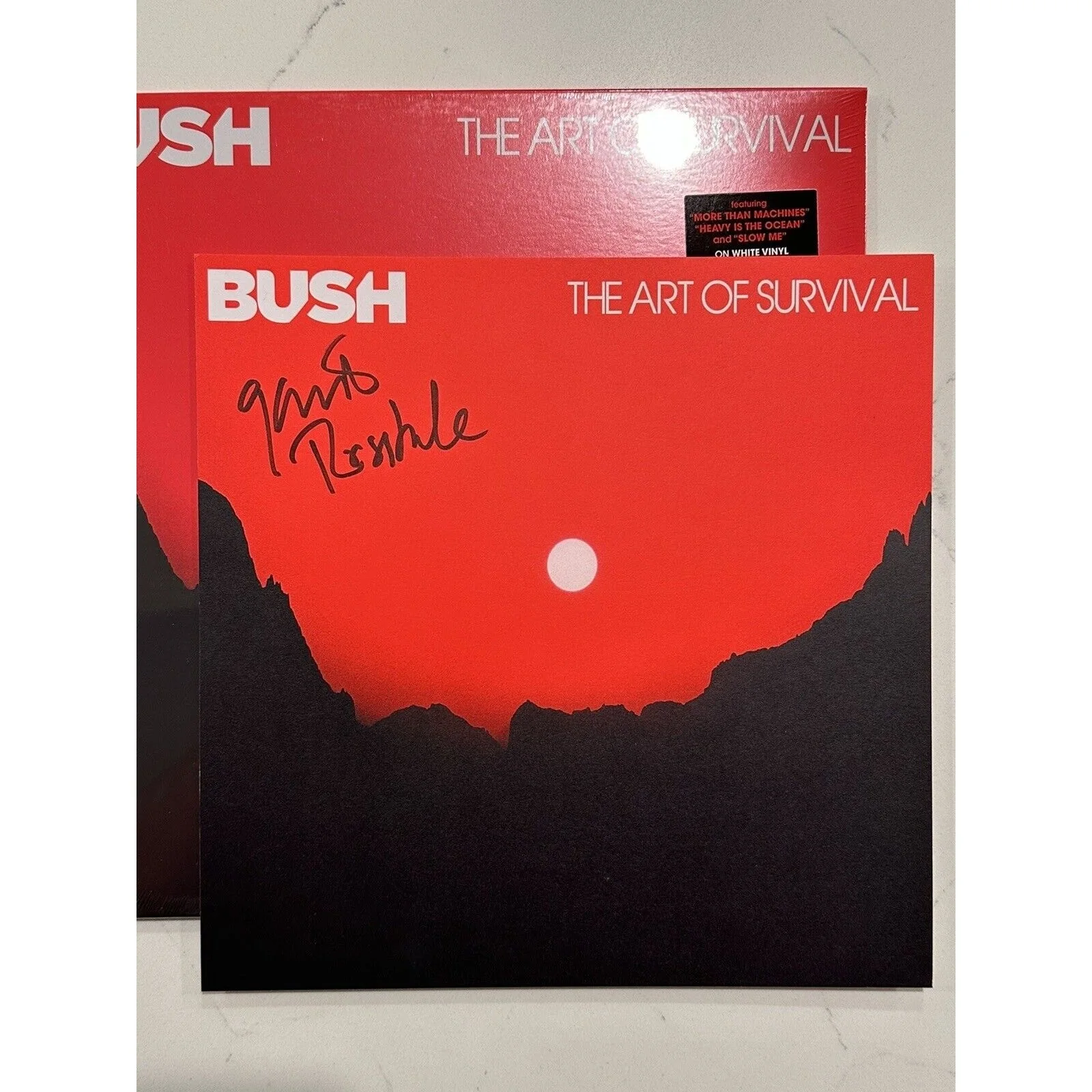 Bush Gavin Rossdale Signed Art of Survival LP Insert White Vinyl Autograph, image 2