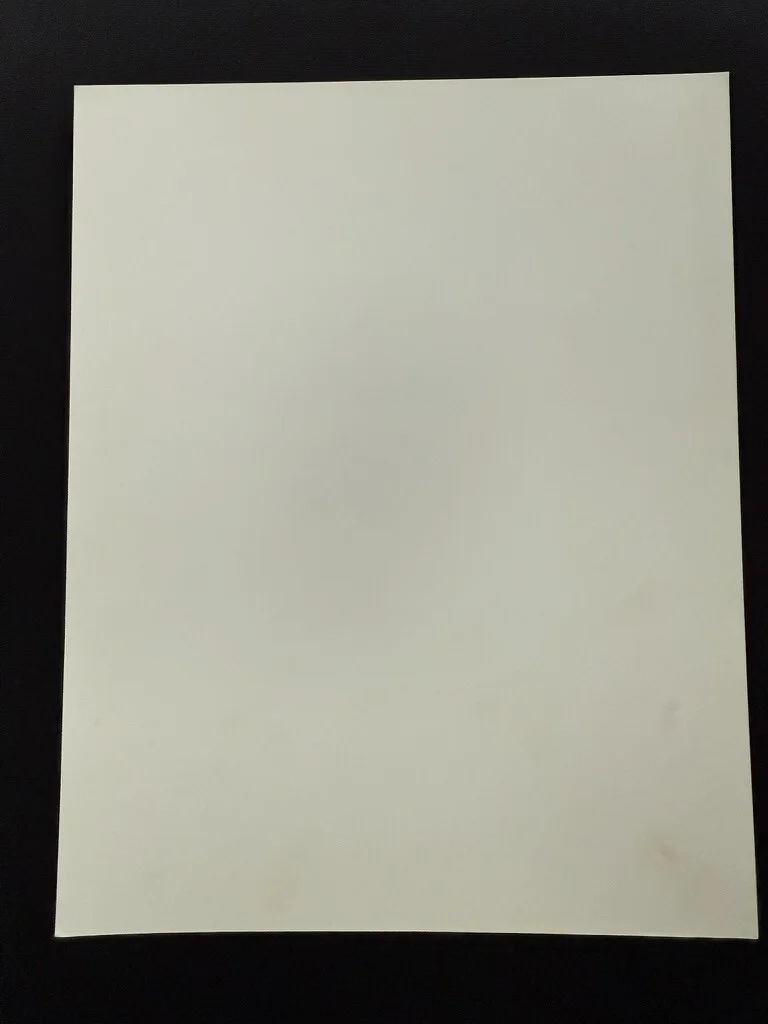 RARE A4 1991 Cape Fear B/W Press Scene Print (Nick Nolte & Jessica Lange), изображение 2