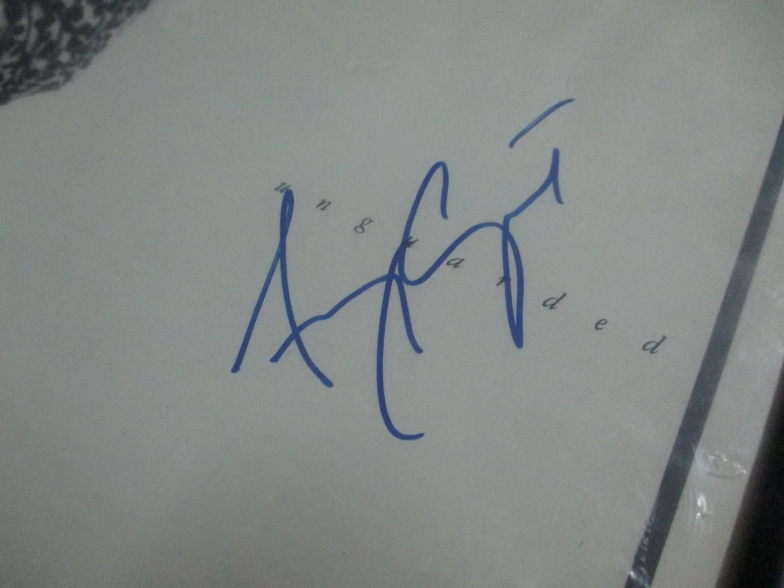 AMY GRANT AUTHENTIC SIGNED/AUTOGRAPHED UNGUARDED VINYL RECORD ALBUM, image 4