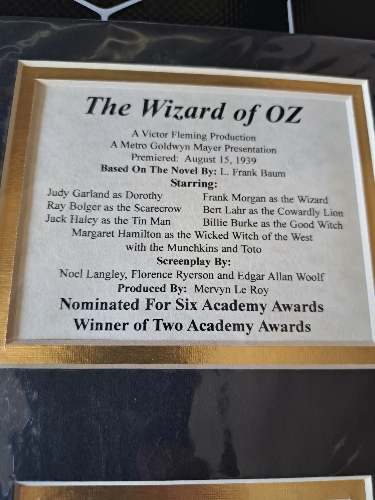 Wizard of oz Original Picture Cover. Excellent Condition. Still In Cellophane., image 2