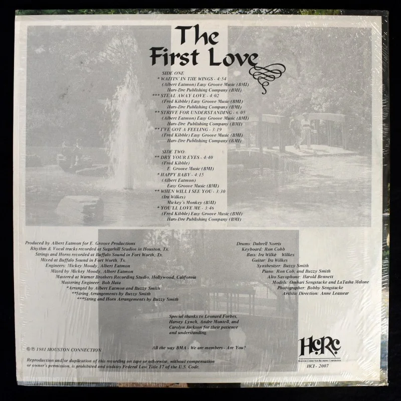 The First Love - The First Love [LP Vinyl], image 3
