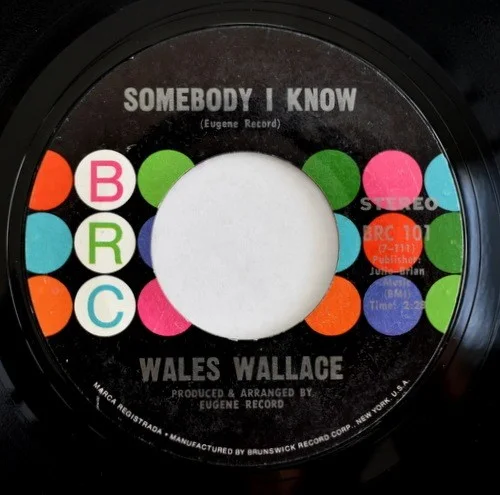 Wales Wallace - Talk A Little Louder / Somebody I Know (7" Vinyl), изображение 2