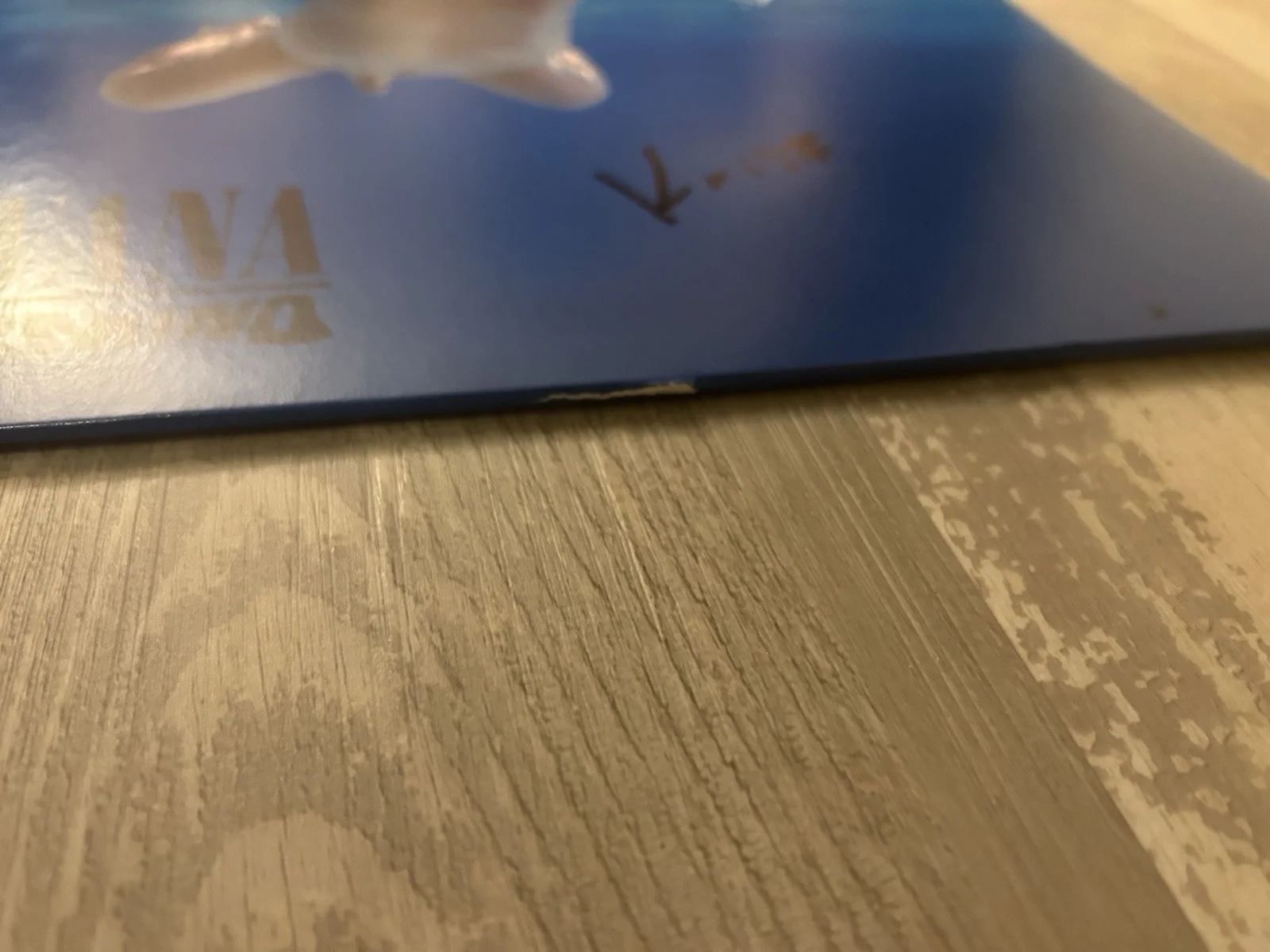 KRIST NOVOSELIC SIGNED AUTOGRAPH NIRVANA NEVERMIND VINYL ALBUM PROOF, image 3