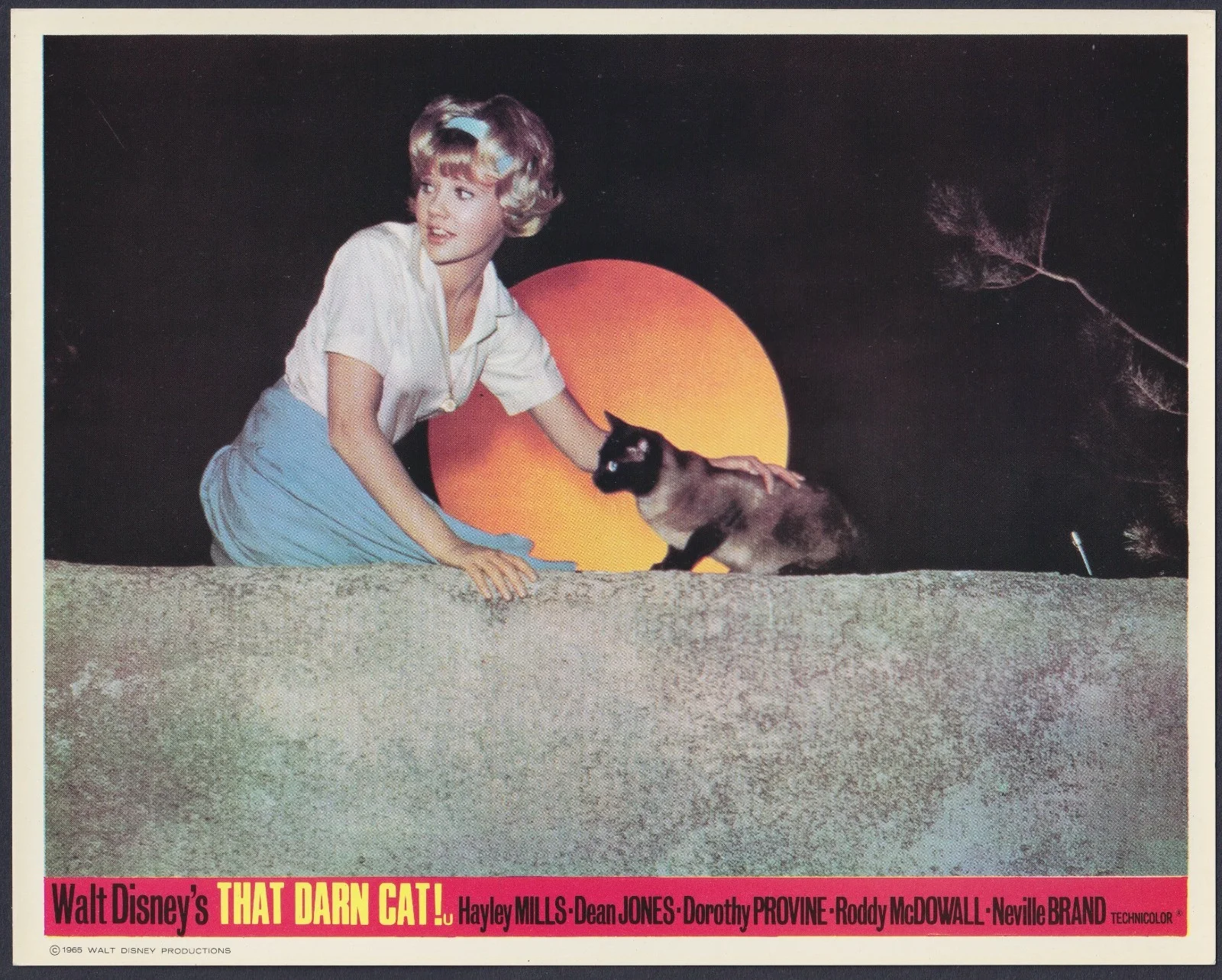 That Darn Cat! 8x ORIGINAL UK FOH Lobby Cards Disney Hayley Mills 1965, изображение 3