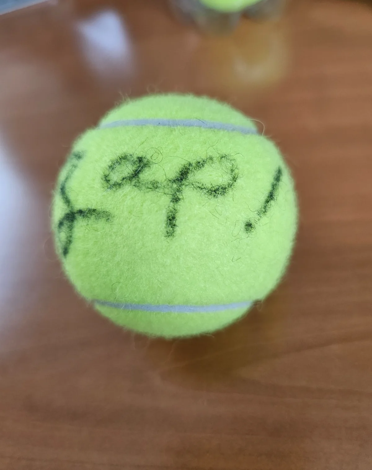 Raye Hollitt Zap American Gladiators Bodybuilder Signed Autograph Ball auto, image 2