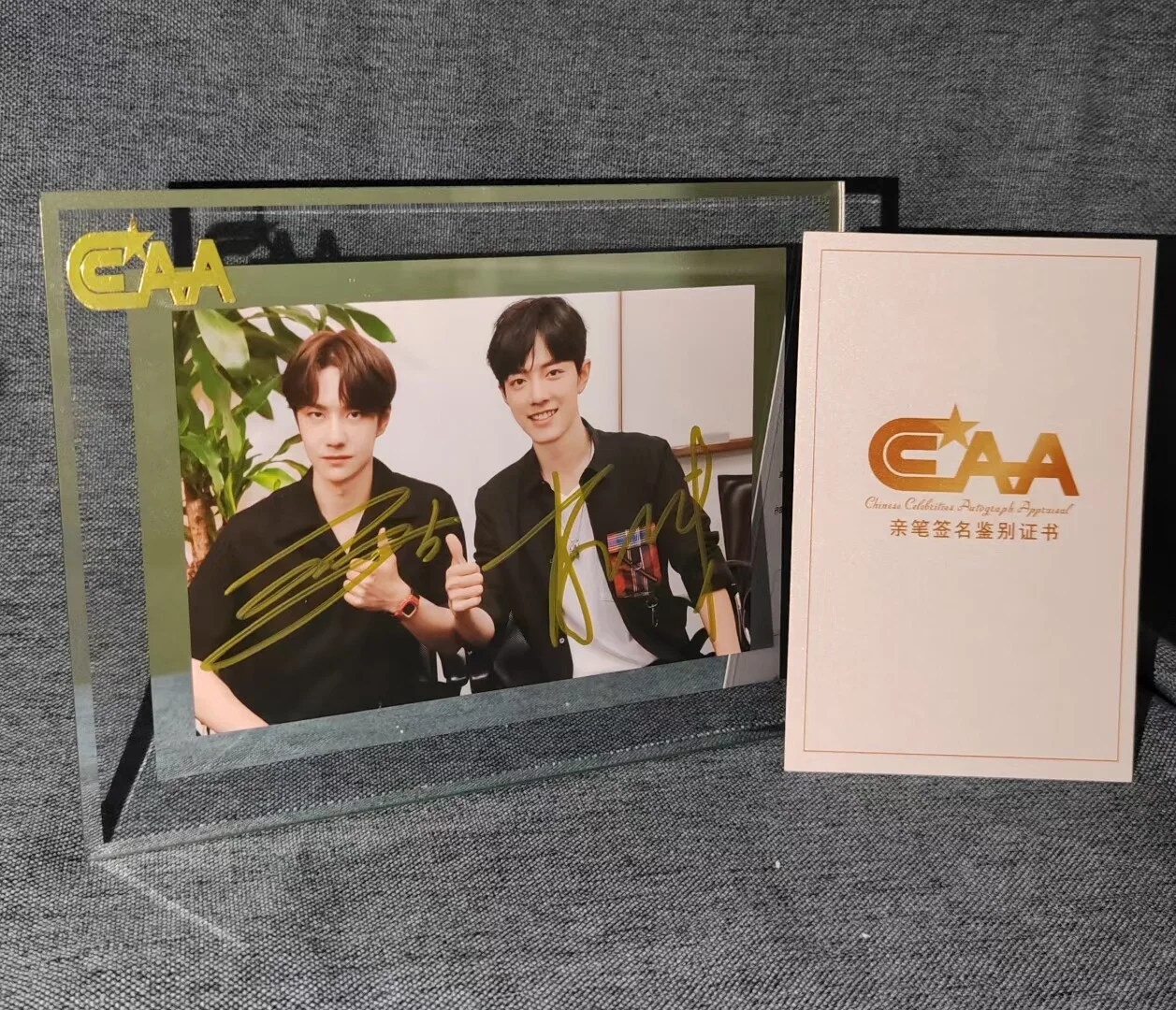The Untamed BJYX Xiao Zhan Wang Yibo Signed Autographed Photo CCAA certificate, изображение 2