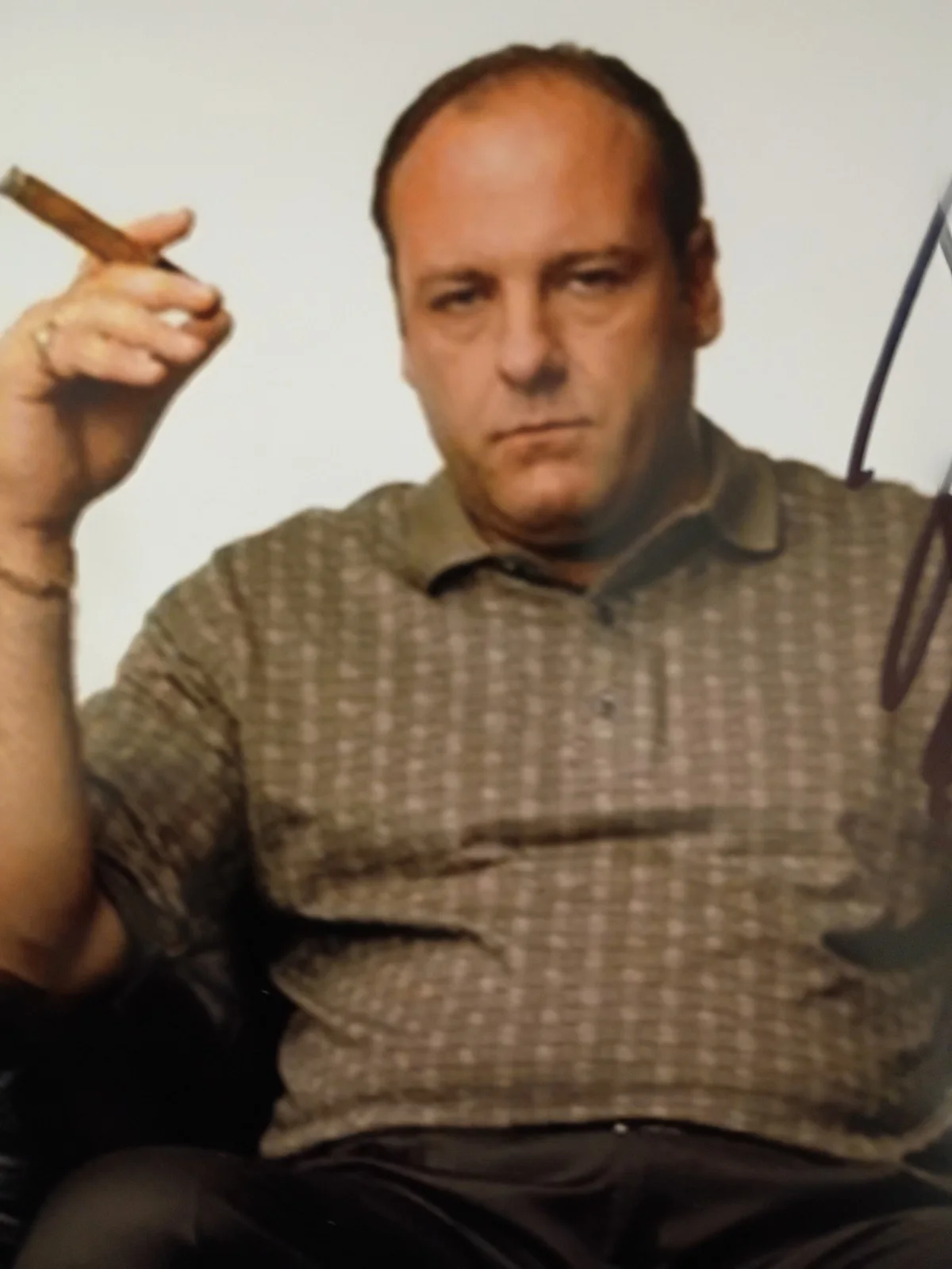 James Gandolfini — James Gandolfini Sopranos Signed 8x10 COA W/Matching Numbered Sticker, изображение 2