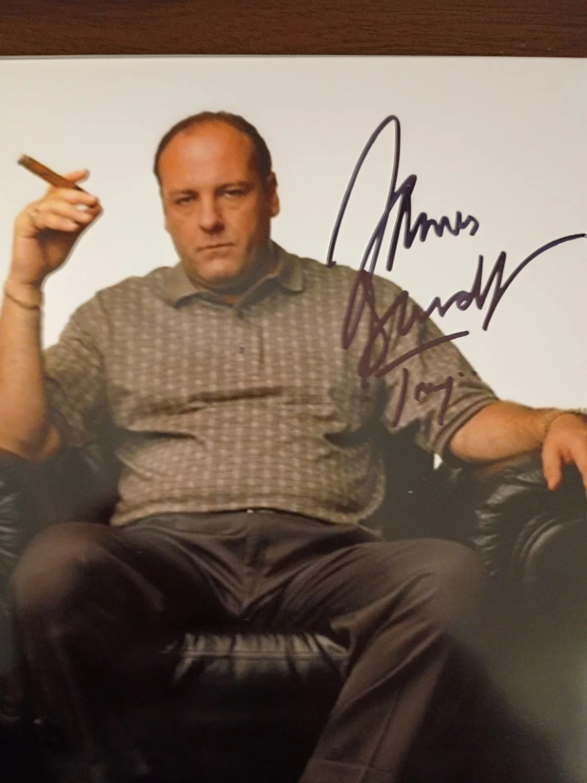 James Gandolfini — James Gandolfini Sopranos Signed 8x10 COA W/Matching Numbered Sticker, изображение 4
