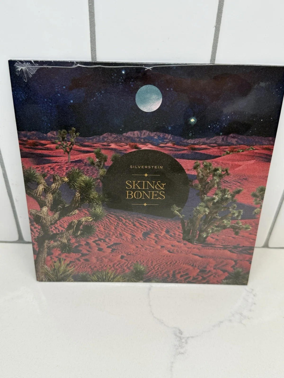 SILVERSTEIN SKIN AND BONES 7” VINYL RECORD & SETLIST - 25 YEARS TOUR VIP ITEMS, image 4