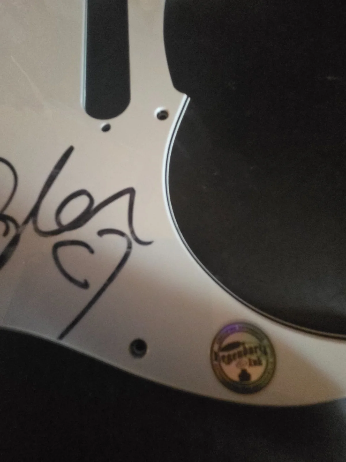 TAYLOR SWIFT signed ELECTRIC GUITAR PICK GUARD legendary ink coa/hologram, изображение 3