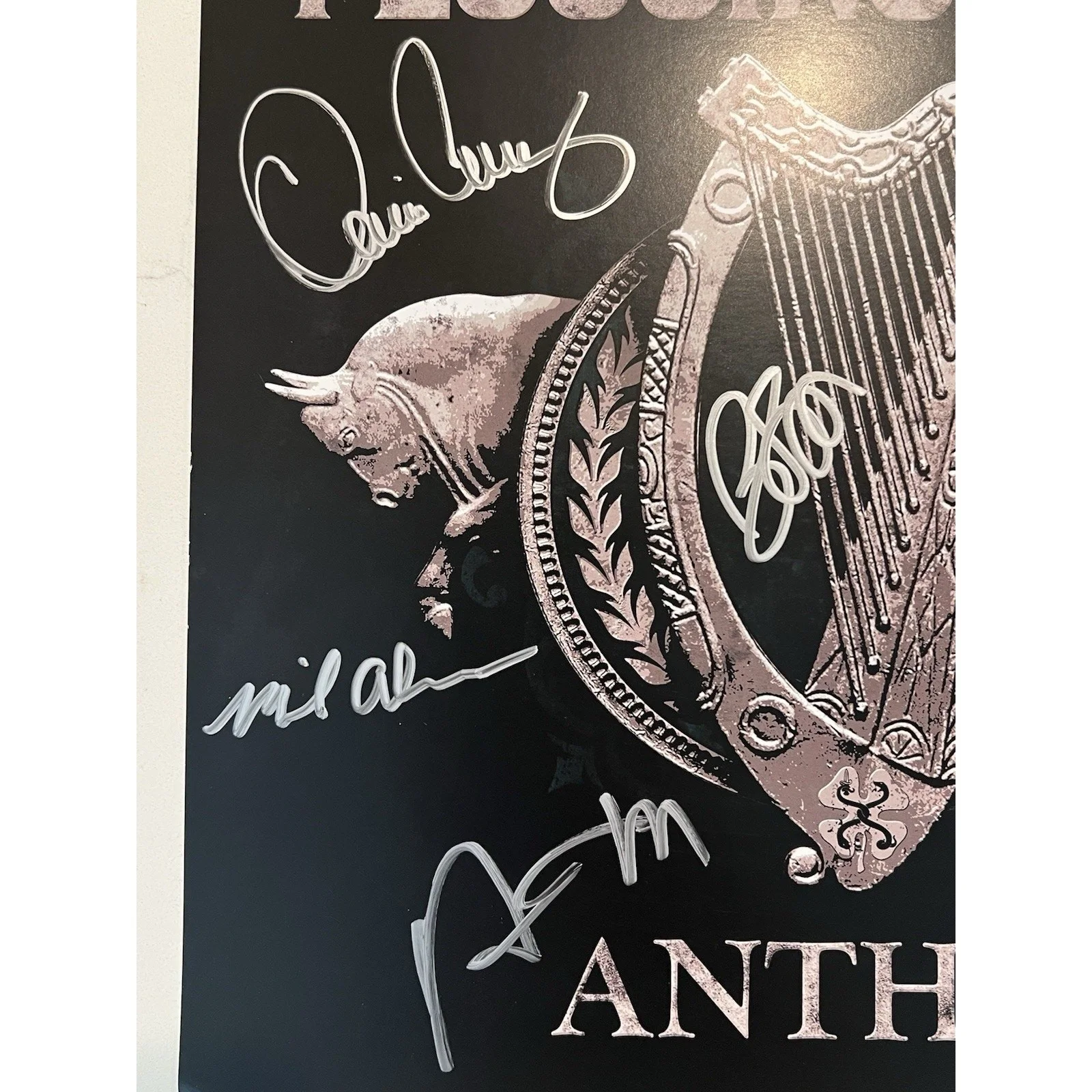 Flogging Molly SIGNED 12x12 Insert + New Sealed Anthem CD 7 Members COA Auto #3, image 3